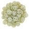 Czechmate 6mm Lentil Glass Czech Two Hole Bead, Opaque Pale Turq/Star Dust